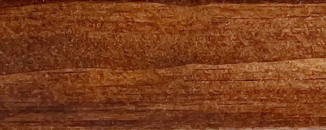 Rimu